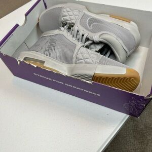 LeBron James Nike Gray Sneakers